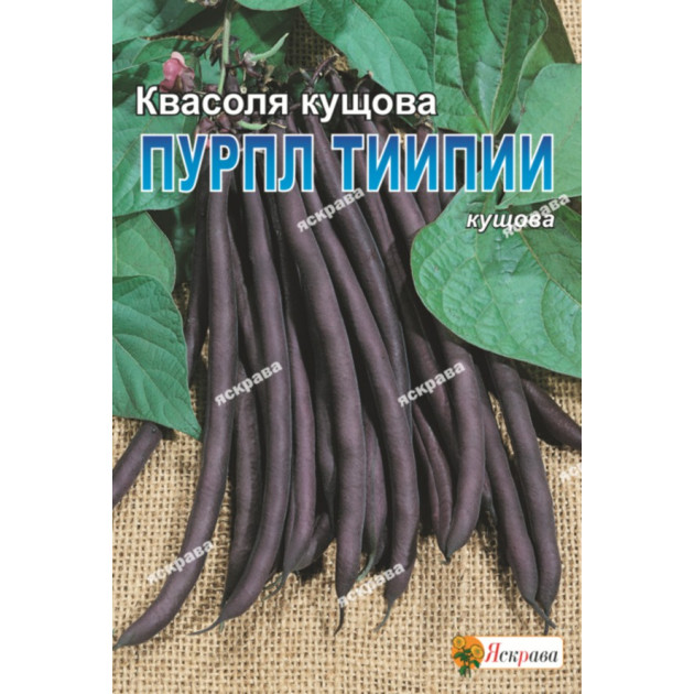 Квасоля кущова Пурпл Тііпії 10 г