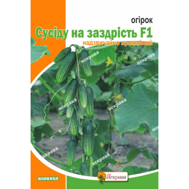 Огірок Сусіду на заздрість  F1 5 г