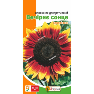 Подсолнух декоративный Вечернее Солнце 1 г