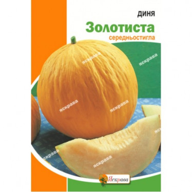 Дыня Золотистая 10 г АКЦИЯ
