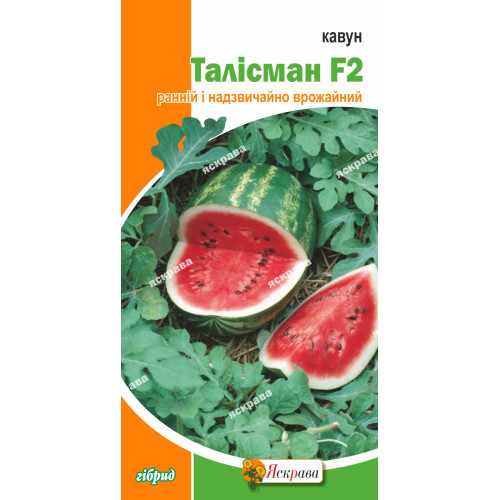 Кавун Талісман F2 1 г - оптом