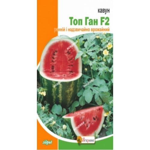 Кавун Топ Ган F2 1 г - оптом