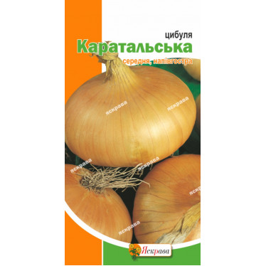 Лук Каратальский 1 г