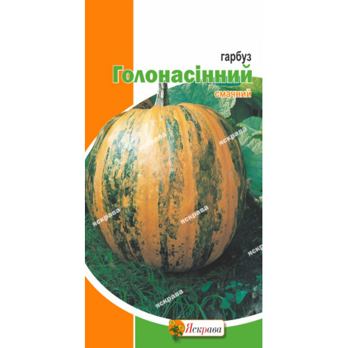Гарбуз Голонасінний 2 г - оптом