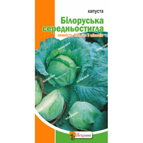 Капуста белокочанная Белорусская 0.5 г - оптом