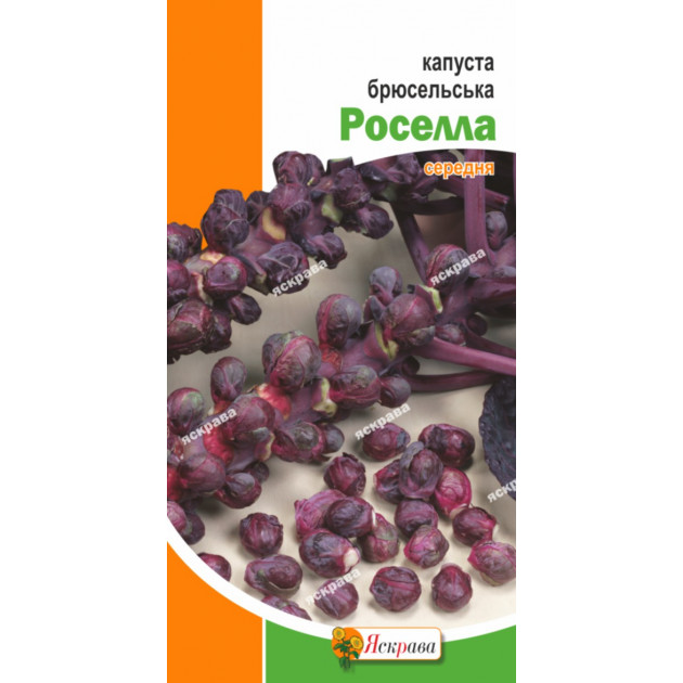 Капуста брюссельская Роселла (красная средняя) 0.5 г