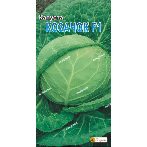 Капуста белокачанная Казачок 0.5 г - оптом