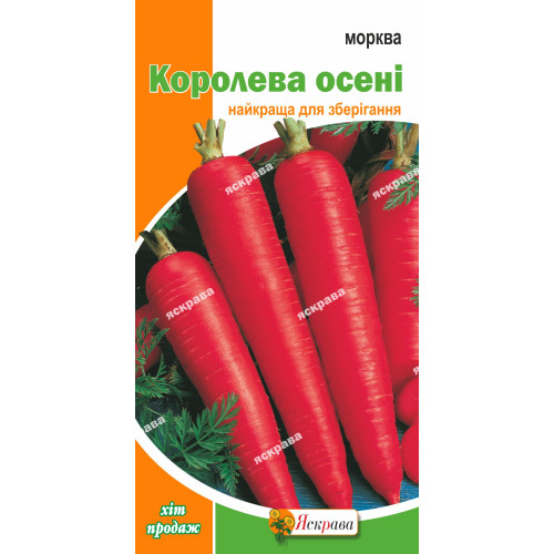 Морква Королева Осені 2 г - оптом