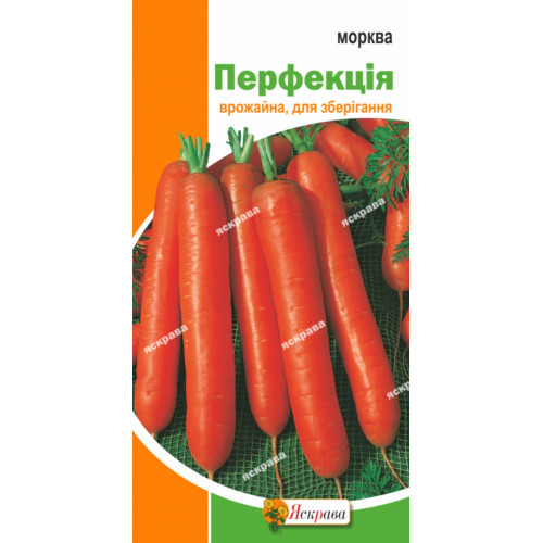 Морковь Перфекция 3 г - оптом