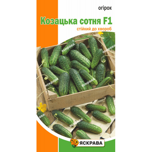 Огірок Козацька сотня F1 0.5 г - оптом