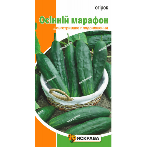 Огірок Осінній марафон 1.0 г - оптом