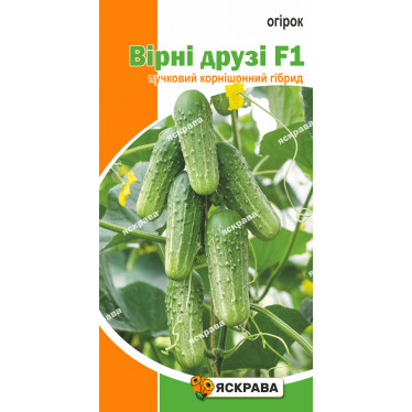 Огурец Верные друзья F1 0.5 г
