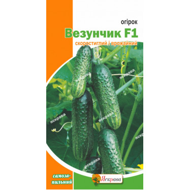 Огурец самоопыляющийся  Везунчик  F1 0.3 г
