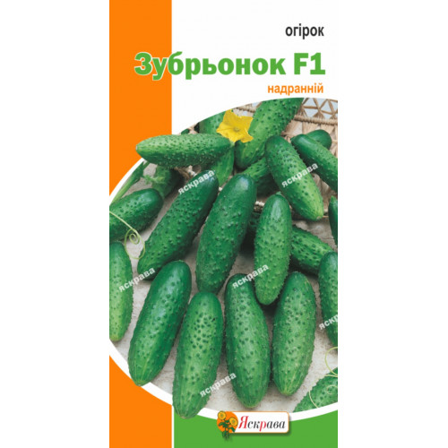 Огірок Зубрьонок F1 0.5 г - оптом
