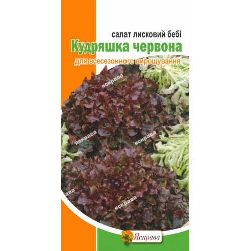 Салат бебі Кудряшка червона 1г - оптом