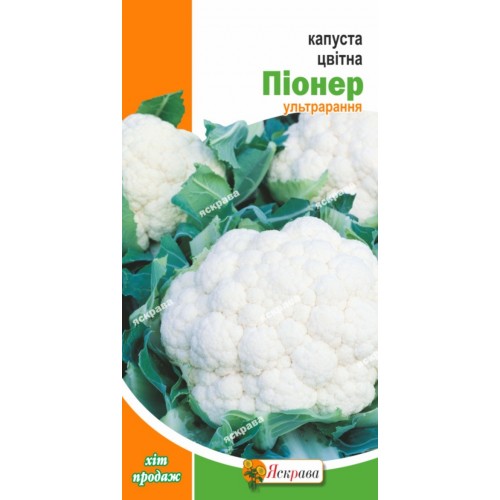 Капуста цветная Пионер (ультраранняя) 0.3 г АКЦИЯ - оптом