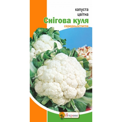 Капуста цвітна Снігова куля 0.3 г АКЦІЯ - оптом