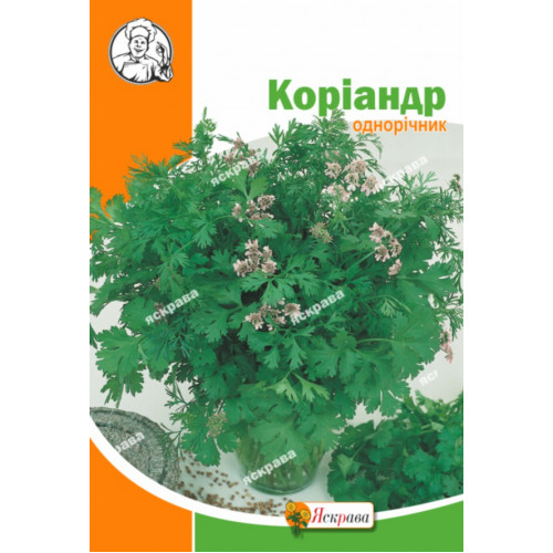 Кориандр 10 г - оптом