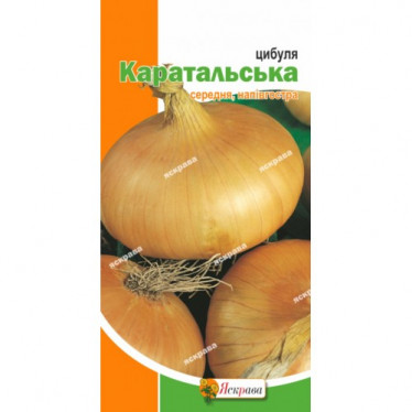 Лук Каратальский 1 г АКЦИЯ