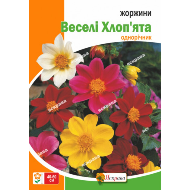 Жоржини Веселі Хлоп'ята суміш 2 г