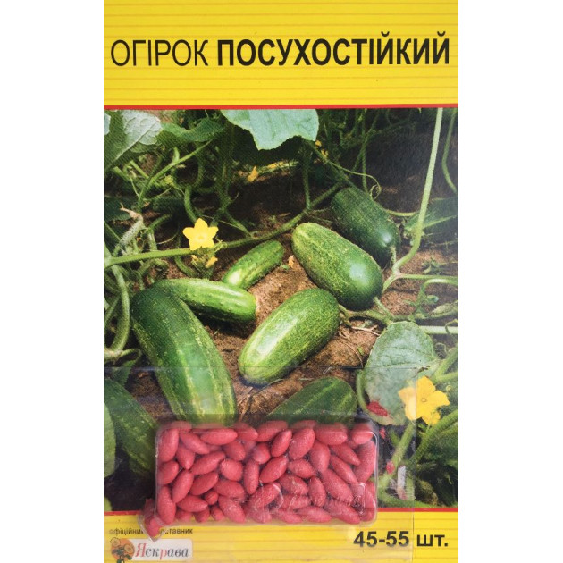 Огірок д/ж Посухостійкий 50нас (150шт)