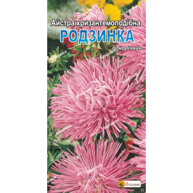 Айстра хризантемоподібна Родзинка 0.3 г