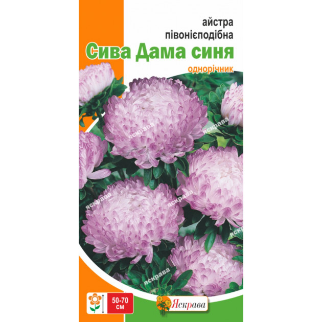 Айстра півонієподібна Сива Дама (синя) 0.3 г