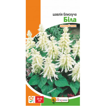 Шалфей блестящий Белый 0.15 г