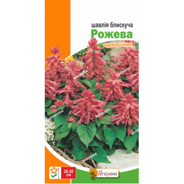 Шалфей блестящий Розовый 0.2 г