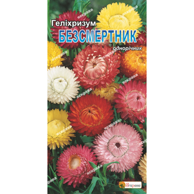 Гелихризум Безмертник 0.2 г