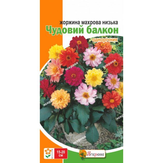 Жоржини махрові ниизькі Чудовий балкон 0.3 г