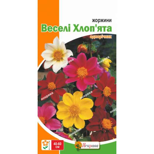 Жоржини Веселі Хлоп'ята суміш 0.3 г