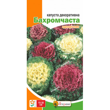 Капуста декоративная Бахромчатая 0.2 г