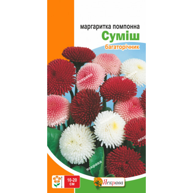 Маргаритка помпонна суміш 0.1 г