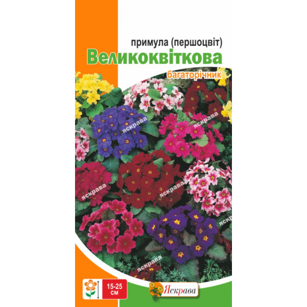 Першоцвіт Великоквітковий (Примула) суміш 0.1 г