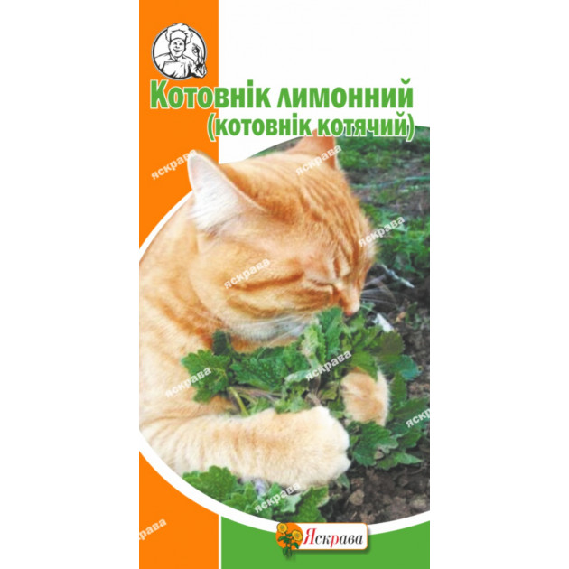 Котовнік лимонний (котячий) 0.5 г