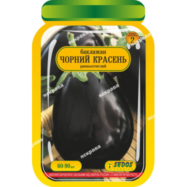 Баклажан Чорний красень 60-90 нас