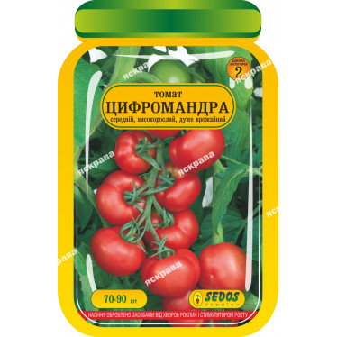 Томат Цифомандра 60-90 нас