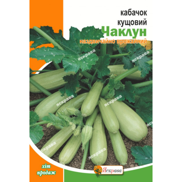 Кабачок кущовий Чаклун 10 г