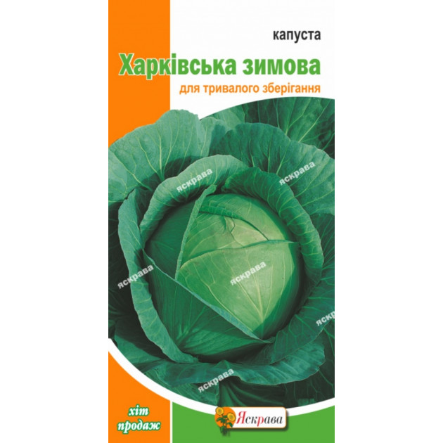 Капуста белокачанная  Харьковская зимняя 0.5 г