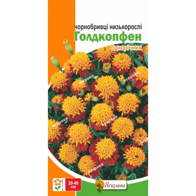 Чорнобривці низькорослі Голдкопфен 0.5 г