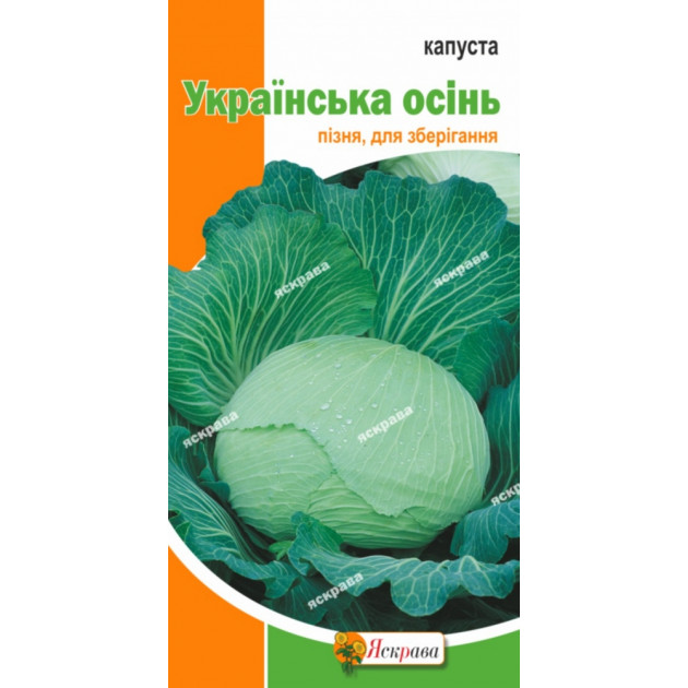 Капуста белокачанная  Украинская осень 0.5 г