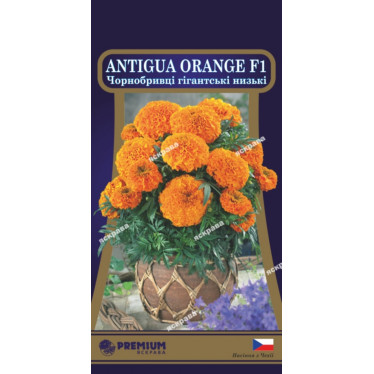 Бархатцы низкие  Antigua Orange  F1 5 семян в оболочке
