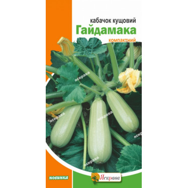 Кабачок кустовой Гайдамака 3 г