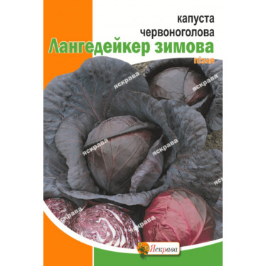 Капуста краснокочанная Лангедейкер 5 г