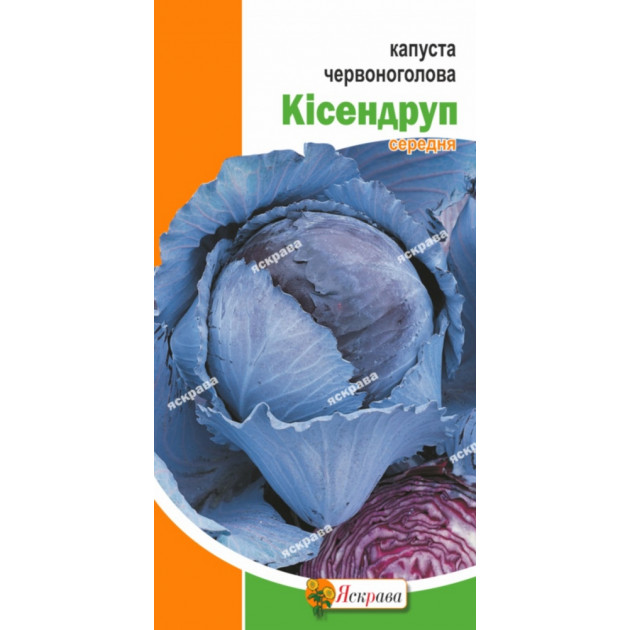 Капуста краснокачанная Кисендруп (средняя) 0.5 г