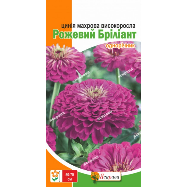 Цинія махрова Роржевий Бриліант 0.5 г