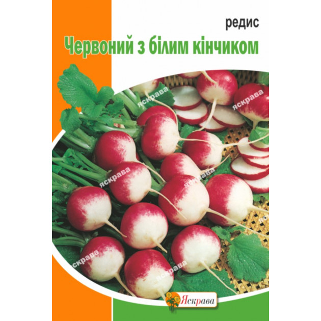 Редис ЧБК (Червоний з білим кінчиком) 10 г