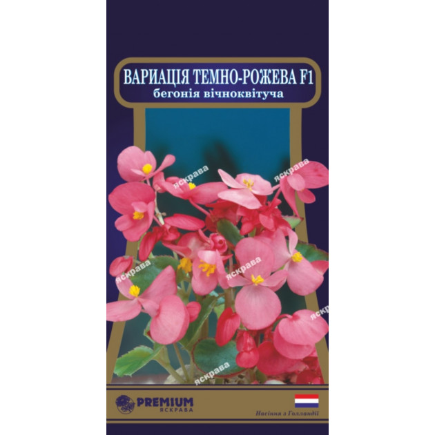 Бегония вечноцветущая Вариация Тёмно-розовая  F1 10 семян в оболочке