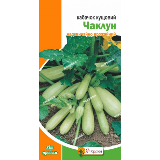 Кабачок кустовой  Чаклун 3 г